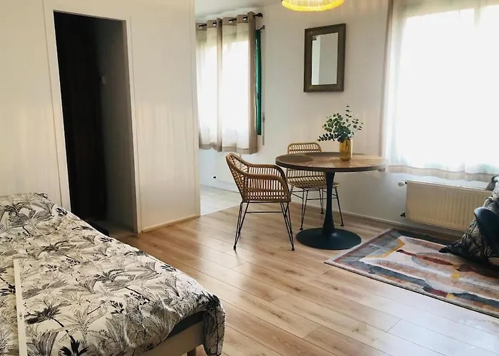 Cozy Hyper Centre * La Roche-sur-Yon